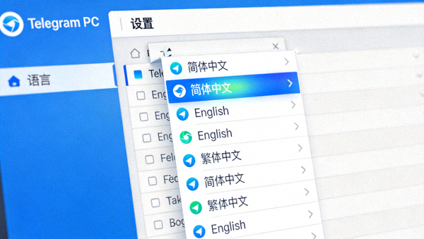 Telegram隐私设置全面优化指南界面截图