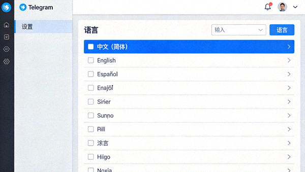 Telegram桌面版中文设置详解配图 - 展示设置界面中的语言选项